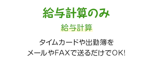 給与計算のみ