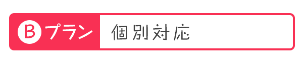 Bプラン個別対応